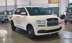 Xe nhái Rolls-Royce và Maybach ở triển lãm ôtô Trung Quốc