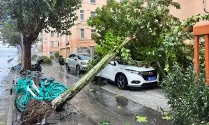 Đường phố Thượng Hải ngổn ngang do bão mạnh nhất 75 năm Đường phố Thượng Hải ngổn ngang do bão mạnh nhất 75 năm