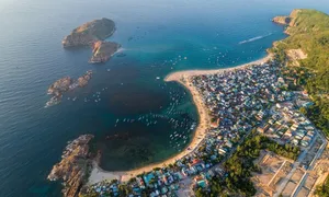 'Hai ông lớn' Hàn Quốc muốn làm trung tâm thương mại ở Quy Nhơn