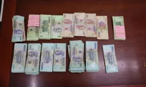 Sới bạc núp bóng trang trại chăn nuôi