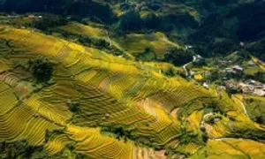 Việt Nam 7 lần thắng giải 'Điểm đến hàng đầu châu Á' Việt Nam 7 lần thắng giải 'Điểm đến hàng đầu châu Á'