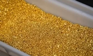 Giá vàng thế giới lên cao nhất gần 2 tuần